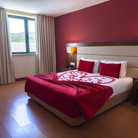 Hotell Palace & Monte Rio 3*